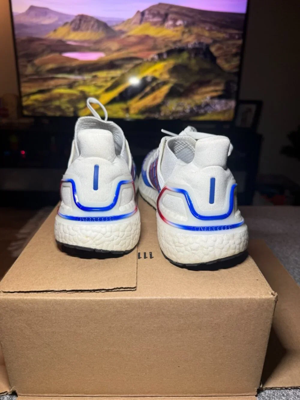 Mens Adidas Ultraboost